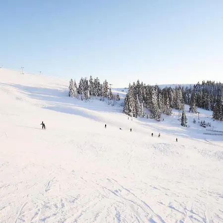 Zahar Berkut 3* Slavske