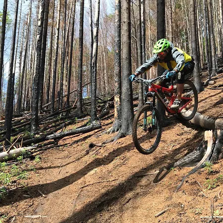 Otel Zahar Berkut Slavske